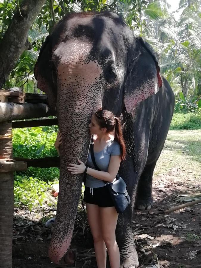 Rainbow Beach Resort Ambalangoda  Ngoại thất bức ảnh