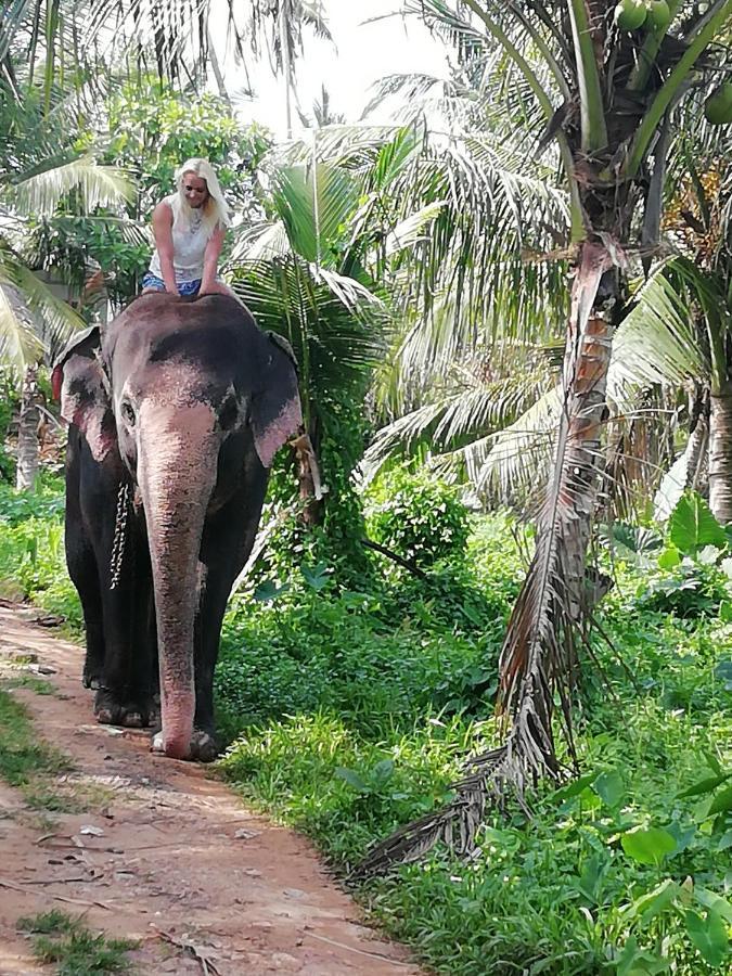 Rainbow Beach Resort Ambalangoda  Ngoại thất bức ảnh